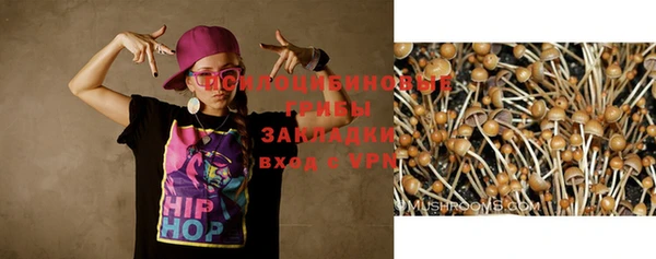 экстази Баксан