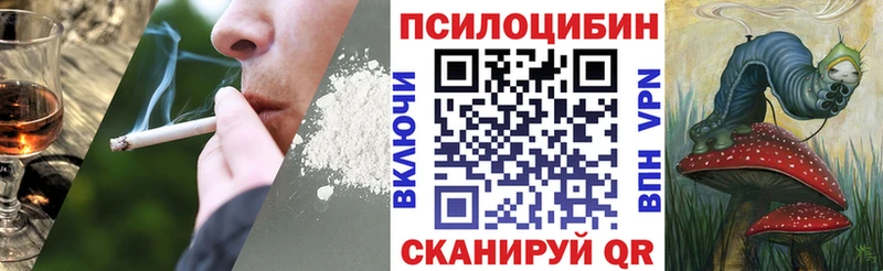 Псилоцибиновые грибы Psilocybine cubensis  Воркута 